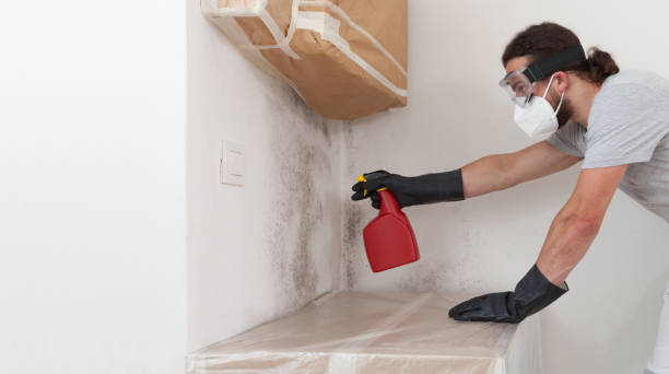 Professional Black Mold Removal technician working in Passaic, NJ