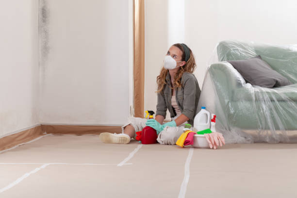 Reliable Black Mold Removal contractor in Passaic, NJ by WQB Mold Removal